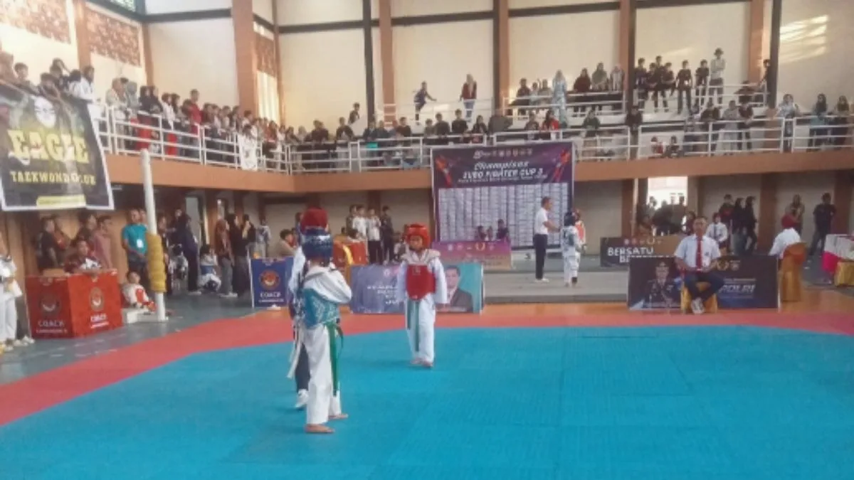 Taekwondo PPLPD Boltara