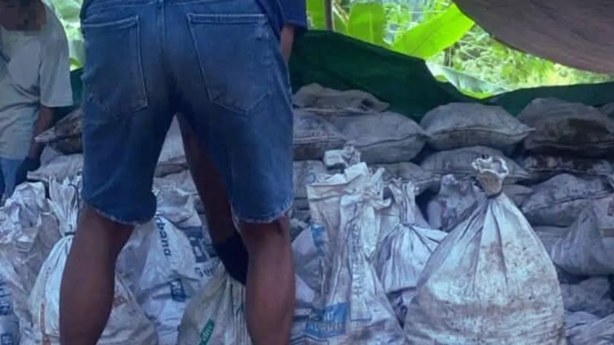 Tambang batu hitam ilegal di Tolutu