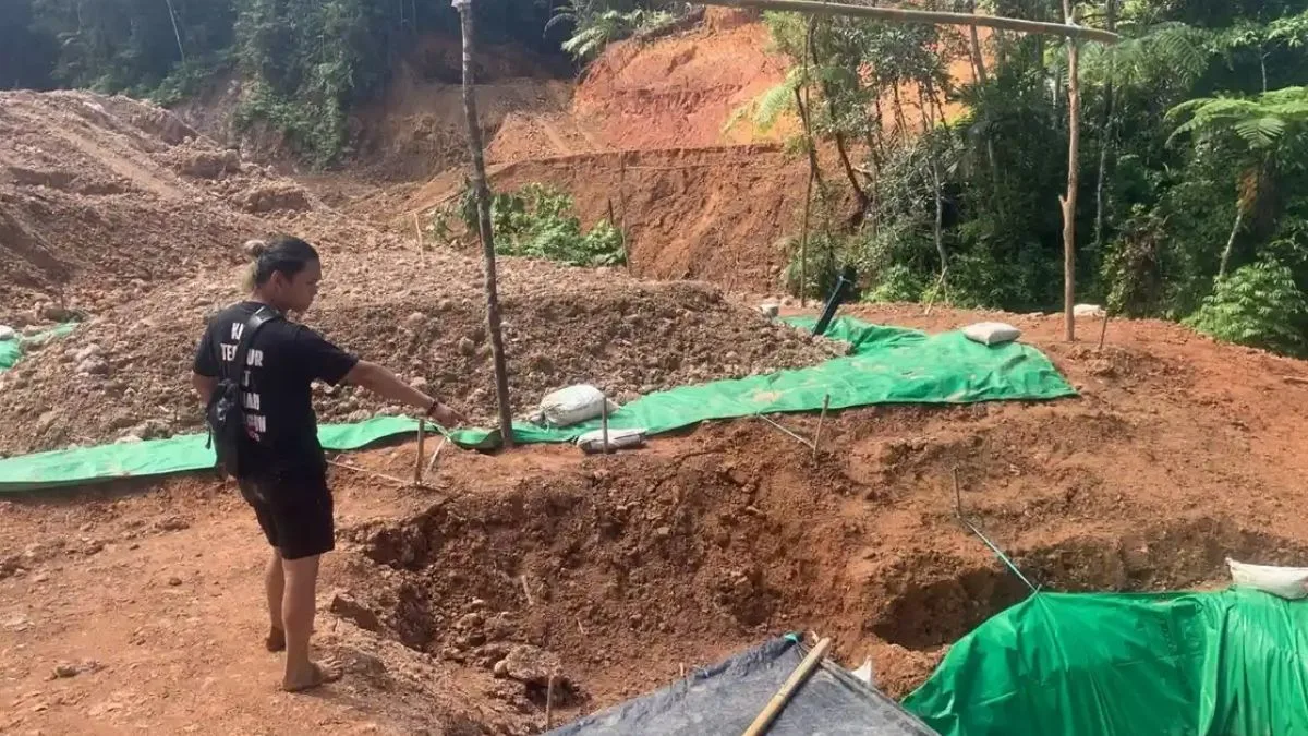 tambang ilegal Atoga