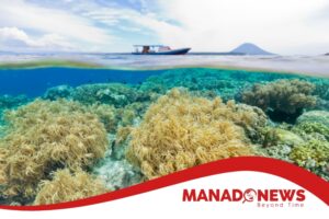 Tempat Wisata Manado dan Sekitarnya