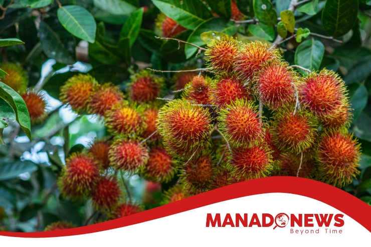 Manfaat buah rambutan