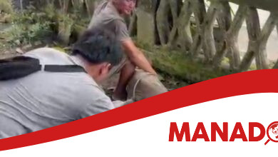 hewan kurban kejari kotamobagu