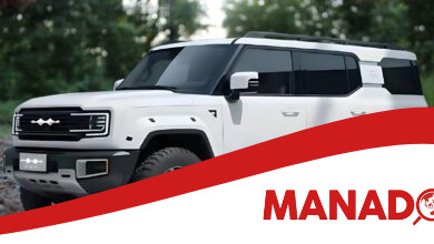 Fang Cheng Bao Tai 7