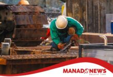 Pekerjaan aman dari AI